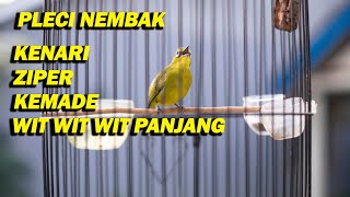 Download lagu PLECI GACOR NEMBAK KENARI , KEMADE , ZIPER, WIT WIT WIT PANJANG mp3