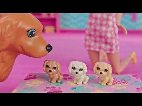 Mattel Barbės šunelių naujagimių rinkinys video