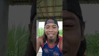 Download lagu DJ EDENTE'AH KERRONGAH TRAP PARTY NROTOK Samsul Arif || DJ LAGU MADURA mp3 Download lagu DJ EDENTE'AH KERRONGAH TRAP PARTY NROTOK Samsul Arif || DJ LAGU MADURA mp3