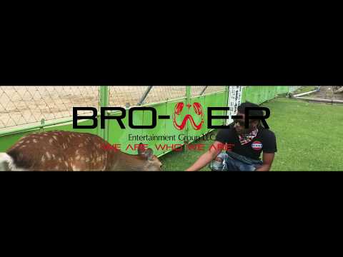 BrowerBoyBoogie  - Moves To Make Official Video