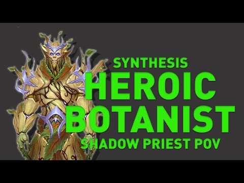 Synthesis vs High Botanist Tel'arn | Shadow Priest POV | 1.35 MIL DPS|