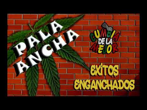 PALA ANCHA - Exitos Enganchados