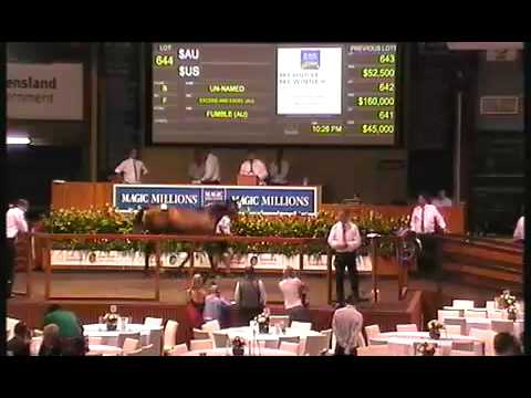 2012 Gold Coast Yearling Sale Lots 641 - 645