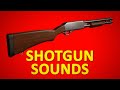 SHOTGUN Sounds For One Hour