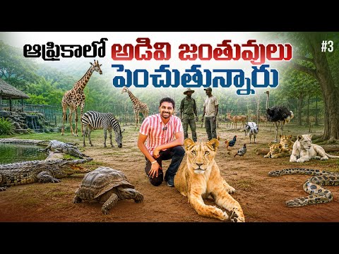 Africa Animals 🌍 In Zimbabwe 🇿🇼 | Uma Telugu Traveller