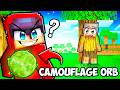 I Pretended To Be A Noob In Hide And Seek Then Used Camouflage