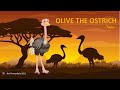 OLIVE THE OSTRICH
