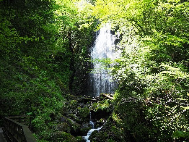 Fresh greenery in the “Dakigaeri Valley”