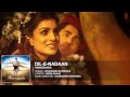 Dil E Nadaan Full Audio Song Ayushmann Khurrana Hawaizaada T Series