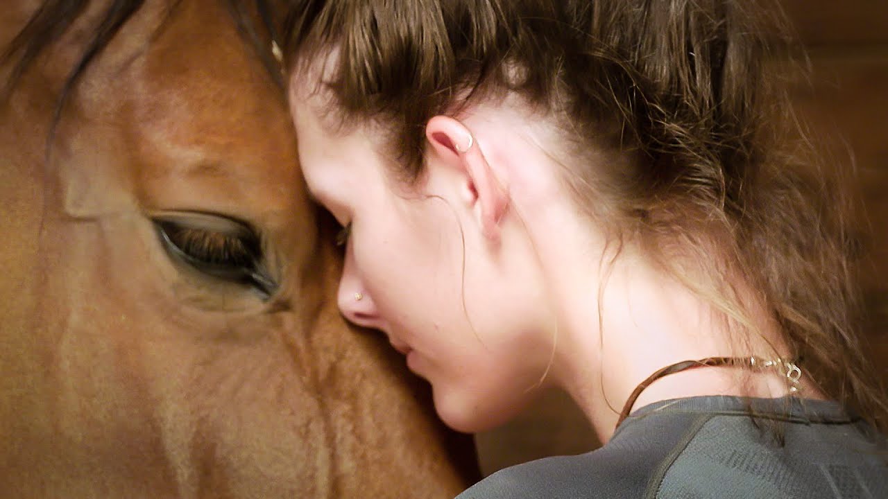 The 24 Behaviors of the Ridden Horse in Pain: Shifting the Paradigm of How We See Lameness