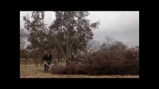 preview picture of video 'Stihl MS 441 Chainsaw and Bradford Pear Tree , Estill Springs Tennessee'