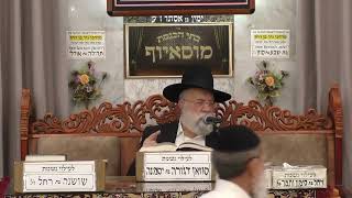 הרב אהרון ירחי | הלכות | בית הכנסת מוסאיוף (בית הכנסת מוסאיוף) - התמונה מוצגת ישירות מתוך אתר האינטרנט יוטיוב. זכויות היוצרים בתמונה שייכות ליוצרה. קישור קרדיט למקור התוכן נמצא בתוך דף הסרטון הרב אהרון ירחי | הלכות | בית הכנסת מוסאיוף (בית הכנסת מוסאיוף) - התמונה מוצגת ישירות מתוך אתר האינטרנט יוטיוב. זכויות היוצרים בתמונה שייכות ליוצרה. קישור קרדיט למקור התוכן נמצא בתוך דף הסרטון