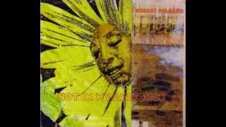 Robert Pollard - Prom Is Coming to Good Luck Sailor