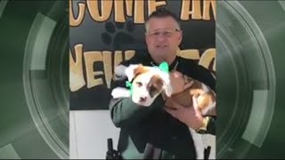 Puppy left tied up in sheet