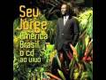 Seu Jorge - Mangueira