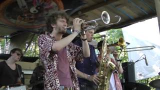 Jungle by Night at Mandala 2016