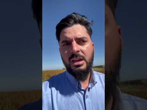Prévia do primeiro depoimento em vídeo