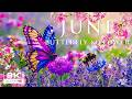 Springtime Splendor 4K | Buzzing Bees & Blooming Garden Paths 🌸 A Peaceful Season Awakens