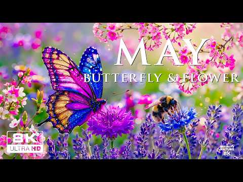 Springtime Splendor 4K | Buzzing Bees & Blooming Garden Paths 🌸 A Peaceful Season Awakens