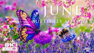 Springtime Splendor 4K | Buzzing Bees & Blooming Garden Paths 🌸 A Peaceful Season Awakens