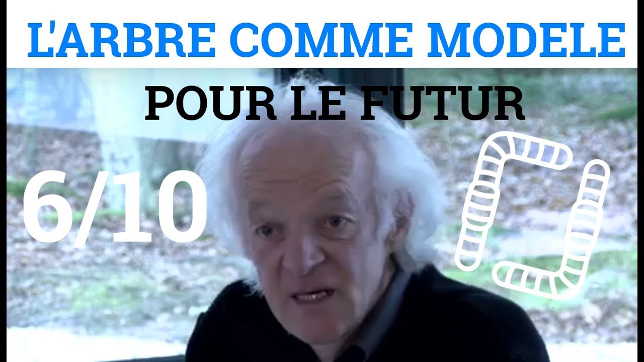 6/10 - Ernst ZÜRCHER - L'Arbre comme Modèle pour le Futur - Stockage du Carbone