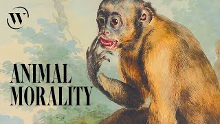 95% of your behavior is primate behavior