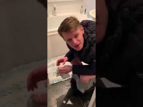 unseen itzmefraz: Worlds gone mad no 🚽 🧻