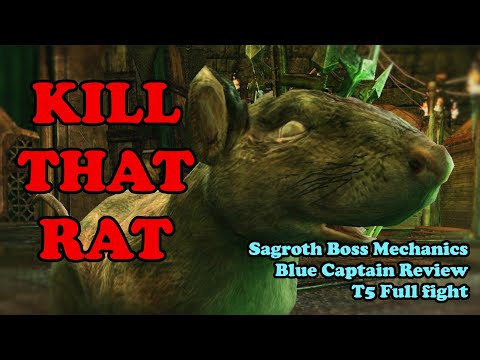 Sagroth T5 mechanics and boss review, featuring blue captain ~ The Lord of the Rings Online U35.1