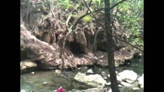 preview picture of video 'Cascade Caliente - Lake Izabal, Guatemala'