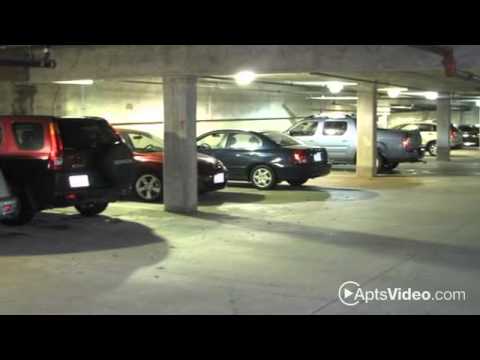 Third Square Apartments in Cambridge, MA - ForRent.com