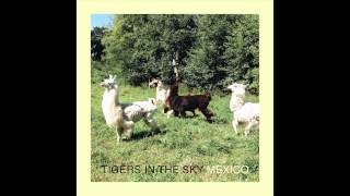 Tigers in the Sky - Mexico (Audio)