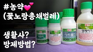 #농약