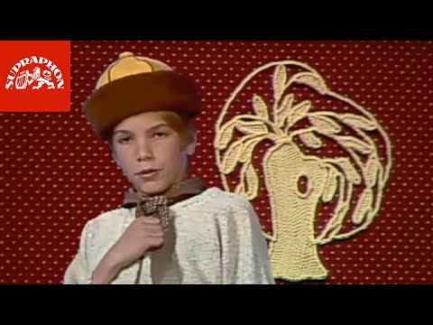 Zpívánky 2 - Já jsem z Kutný hory, Kočka leze dírou, Šel tudy měl dudy