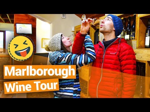 🍷🍇 Marlborough Wine Tour  - New Zealand's Biggest Gap Year – Backpacker Guide New Zealand Video