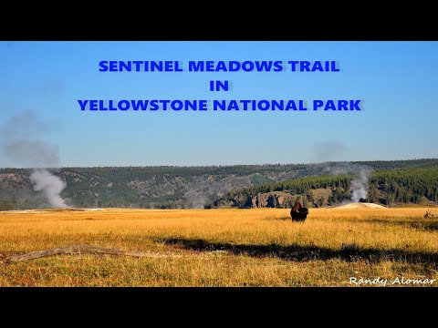 Sentinel Meadows Trails Hike