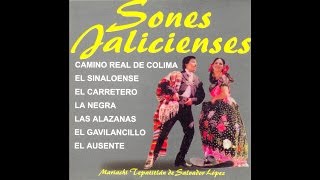 Mariachi Tepatitlan - Las Alazanas