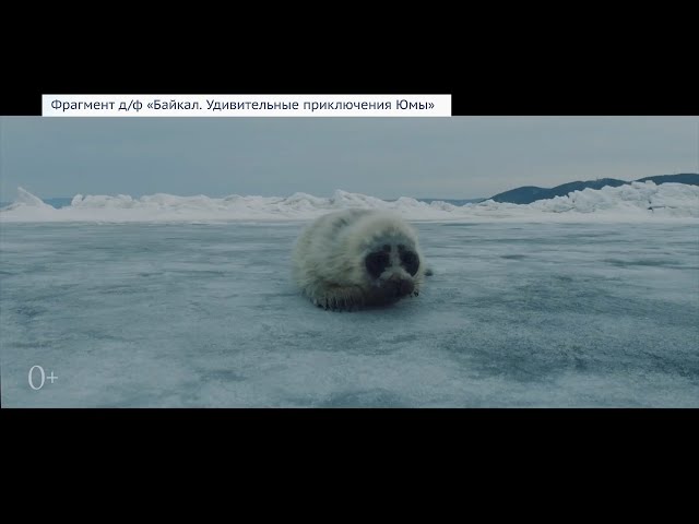 Премьеру документального фильма о Байкале покажут январе