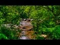 Райнер Мария Рильке - Гефсиманский сад 