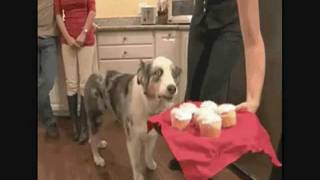 Madness Collection II Chapter I "I'm not Dead. Deal with it."