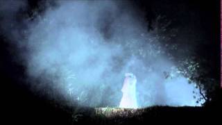 preview picture of video 'Noches Mágicas del Botánico 2014'