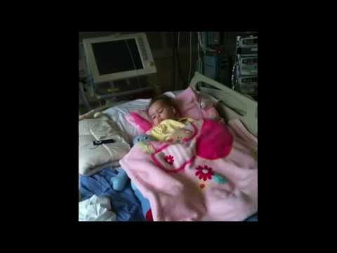 Alice Rose, The Journey