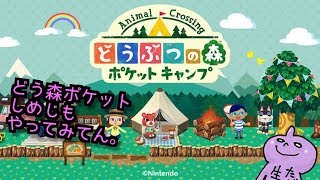 どうぶつの森ポケットキャンプ！引きこもり気質がポケットキャンプ？しめじやってみます♪
