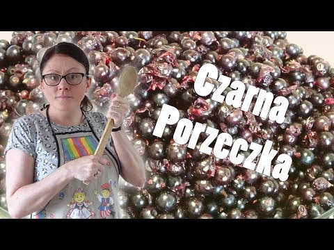 Który Moskwa traktuje włosy 911 Szampon nad ceną licznika
