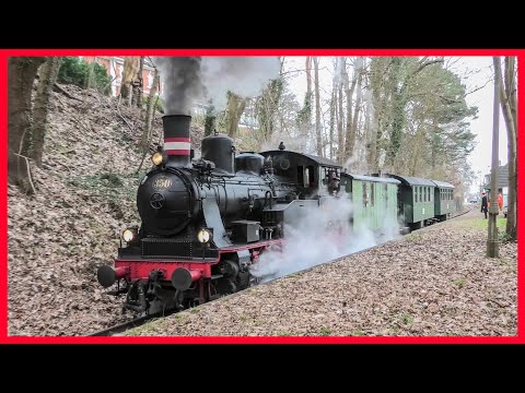 Es dampft in Geesthacht! Eine dänische Dampflok auf Sonderfahrt bei Hamburg