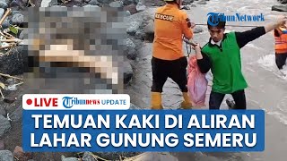 LIVE: Warga Lumajang Temukan Potongan Tubuh di Aliran Lahar Gunung Semeru saat Cari Orang Hilang