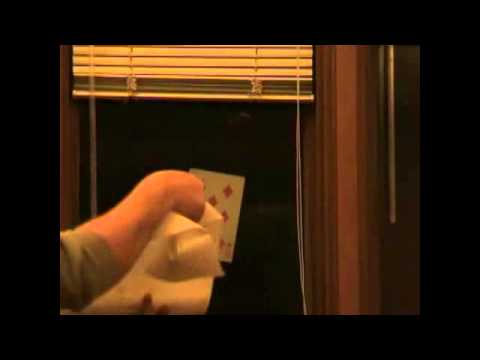 Window Mation by Sean Bogunia