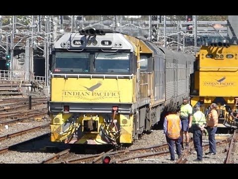 Australian Trains - The Indian Pacific at Central Station