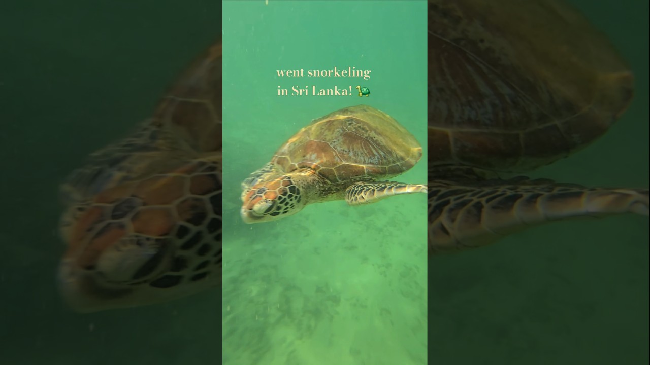 YouTube Short thumbnail