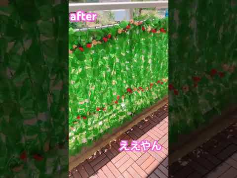 テラスやバルコニーに緑を加えるために、屋外用の大きな鉢に植えられた植物はどれですか?  庭園