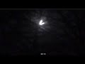 Full M🌝🌝N 2021 Rising thru the trees Jan 28 WOLF MOON Arkansas Video • GOLD (☺︎) #WolfMoon The Slip